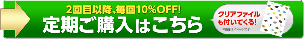 初回限定80％OFF！定期ご購入はこちら　クリアファイルも付いてくる！