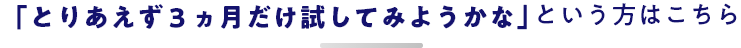 「とりあえず3ヵ月だけ試してみようかな」という方はこちら