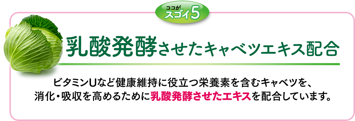 ココがスゴイ5 乳酸発酵させたキャベツエキス配合　ビタミンＵなど健康維持に役立つ栄養素を含むキャベツを、消化・吸収を高めるために乳酸発酵させたエキスを配合しています。