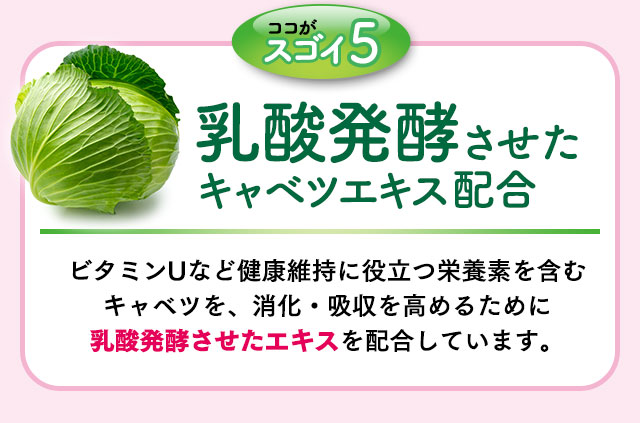 ココがスゴイ5 乳酸発酵させたキャベツエキス配合　ビタミンＵなど健康維持に役立つ栄養素を含むキャベツを、消化・吸収を高めるために乳酸発酵させたエキスを配合しています。