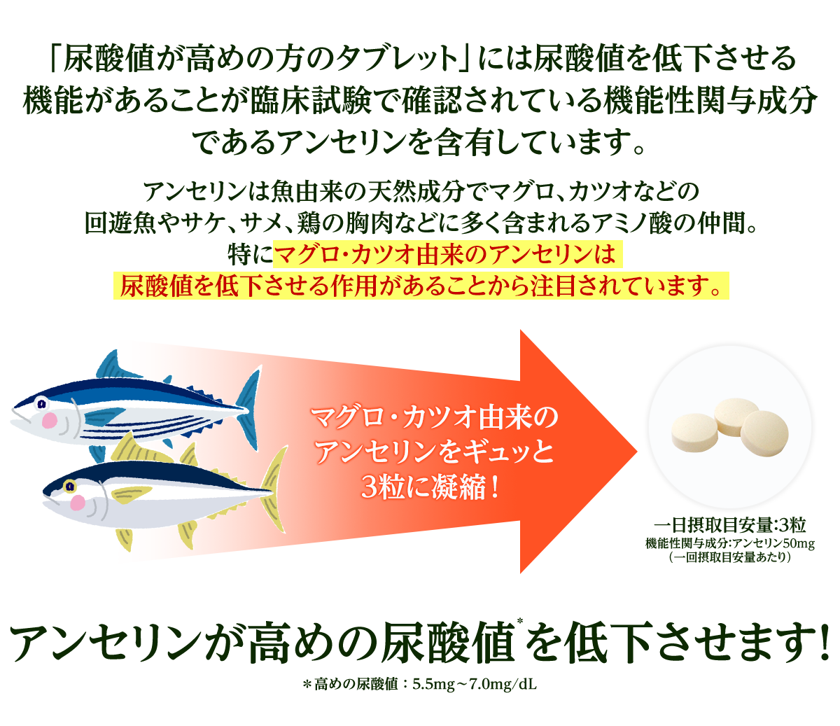 「尿酸値が高めの方のタブレット」には尿酸値を低下させる機能があることが臨床試験で確認されている機能性関与成分であるアンセリンを含有しています。 アンセリンは魚由来の天然成分でマグロ、カツオなどの回遊魚やサケ、サメ、鶏の胸肉などに多く含まれるアミノ酸の仲間。特にマグロ・カツオ由来のアンセリンは尿酸値を低下させる作用があることから注目されています。マグロ・カツオ由来のアンセリンをギュッと3粒に凝縮！一日摂取目安量：3粒機能性関与成分：アンセリン50mg（一回摂取目安量あたり）