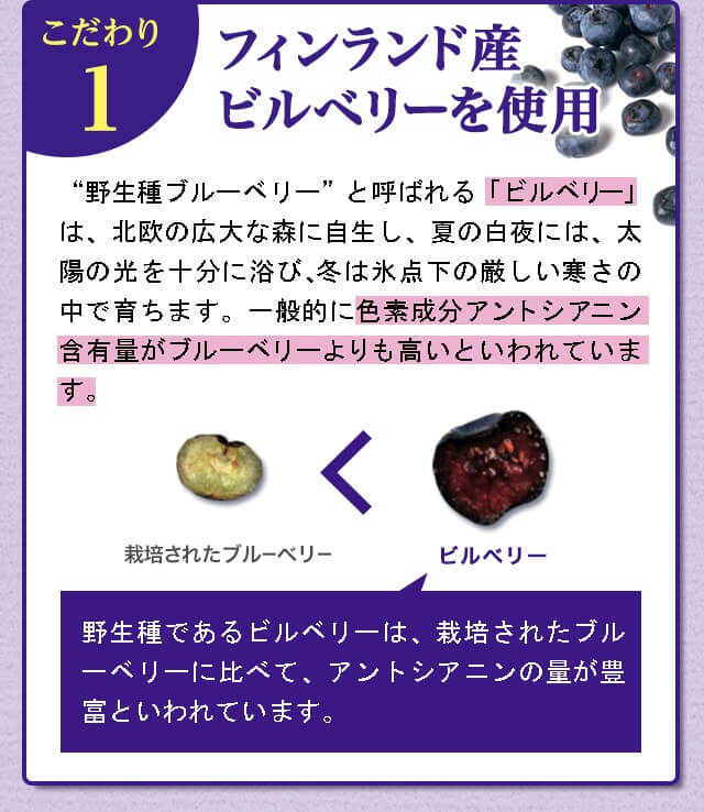 こだわり1 フィンランド産ビルベリーを使用 野生種ブルーベリーと呼ばれる「ビルベリー」は、北欧の広大な森に自生し、夏の白夜には、太陽の光を十分に浴び、冬は氷点下の厳しい寒さの中で育ちます。一般的に色素成分アントシアニン含有量がブルーベリーよりも高いといわれています。野生種であるビルベリーは、栽培されたブルーベリーに比べて、アントシアニンの量が豊富といわれています。