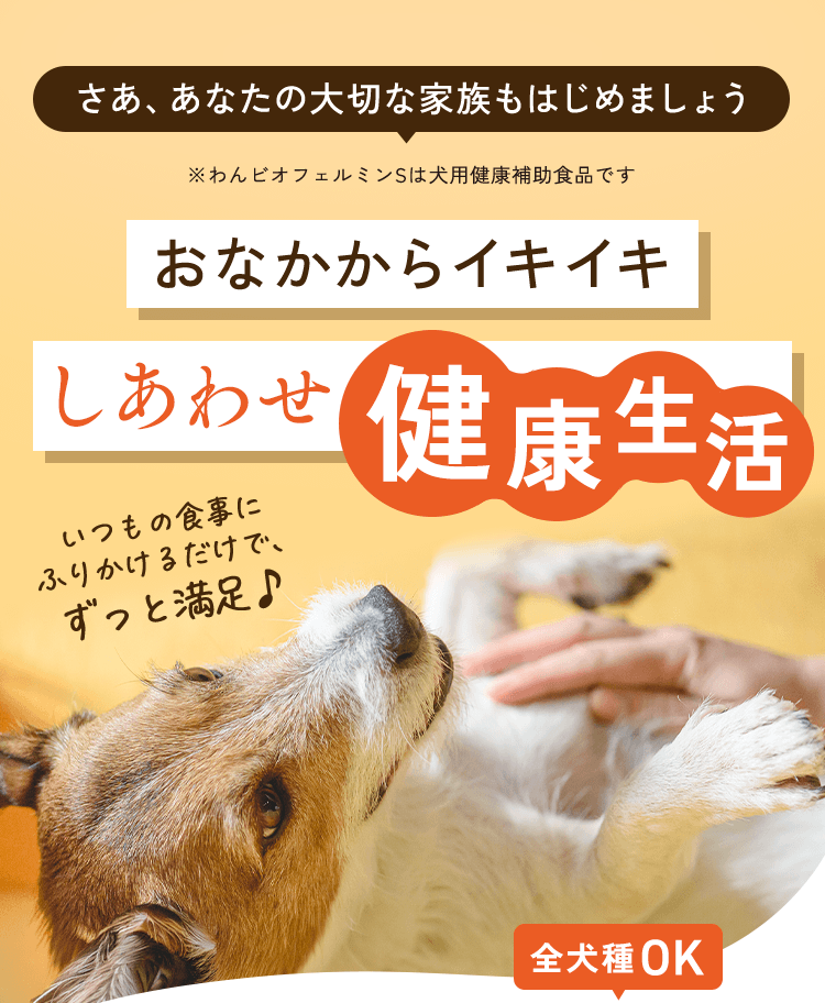おなかからイキイキしあわせ健康生活