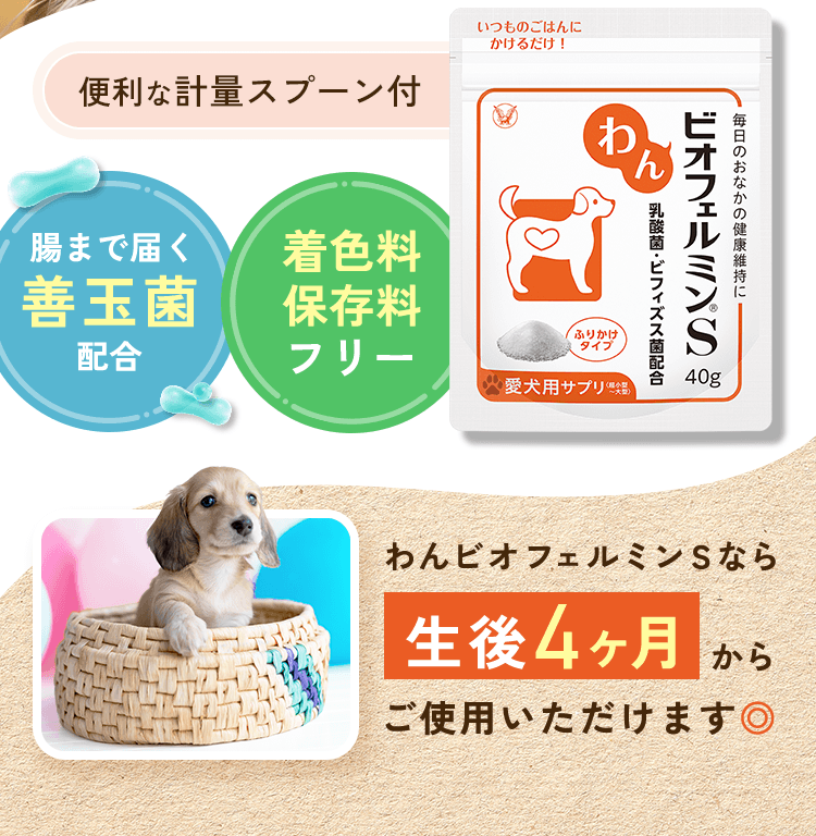 便利な計量スプーン付 腸まで届く善玉菌配合 着色料・保存料フリー　いつものごはんにかけるだけ！わんビオフェルミンS 乳酸菌・ビフィズス菌配合 愛犬用サプリ 全犬種OK