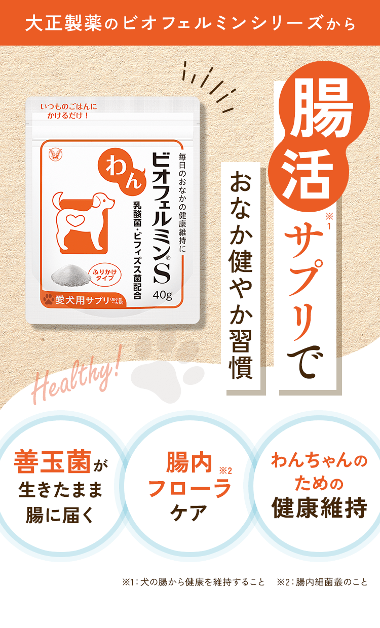 大正製薬のビオフェルミンシリーズから 腸活サプリでおなか健やか習慣　わんビオフェルミンS　善玉菌が生きたまま腸に届く　腸内フローラケア　わんちゃんのための健康維持