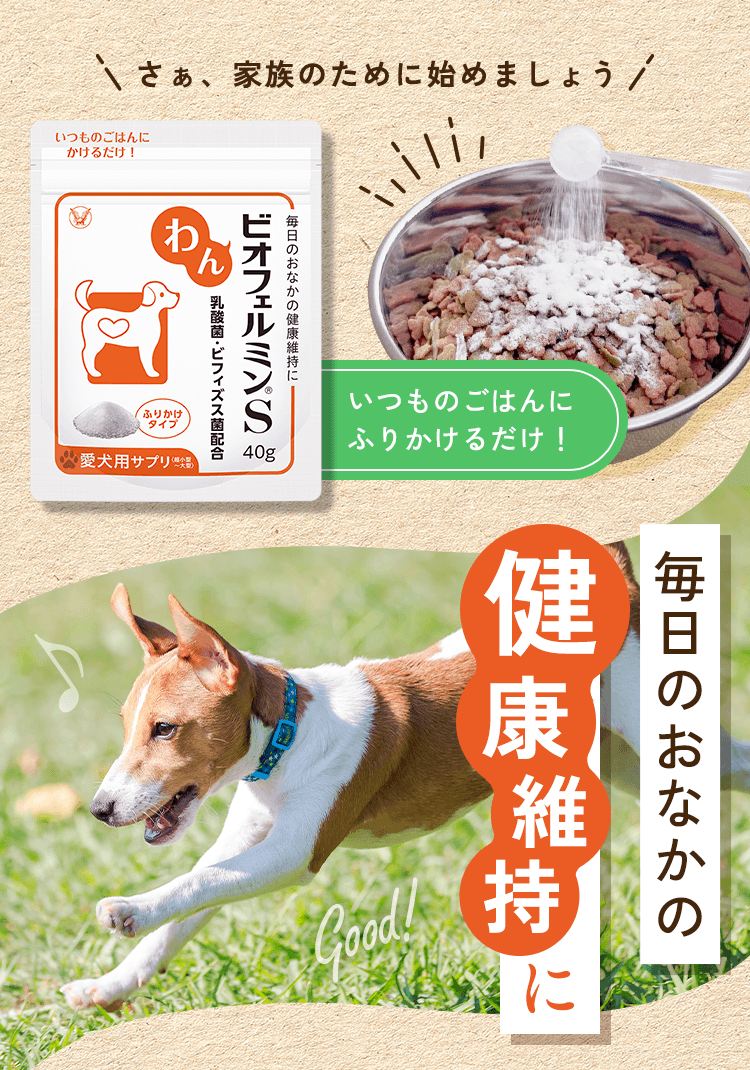 さあ、家族のために始めましょう。いつものごはんにふりかけるだけ！わんビオフェルミンS　毎日のおなかの健康維持に
