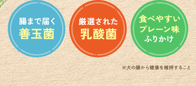 腸まで届く善玉菌　厳選された乳酸菌　食べやすいプレーン味ふりかけ