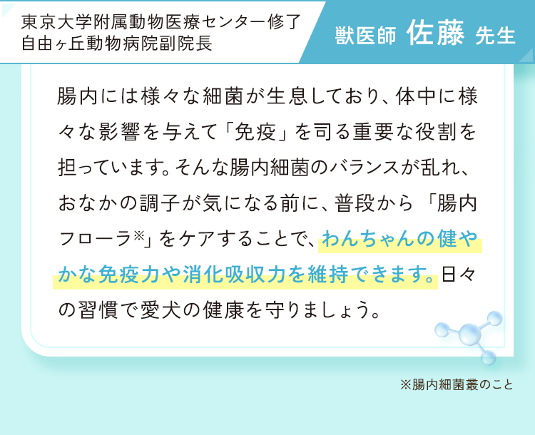 わんちゃんの健康維持には腸活がとても大事
