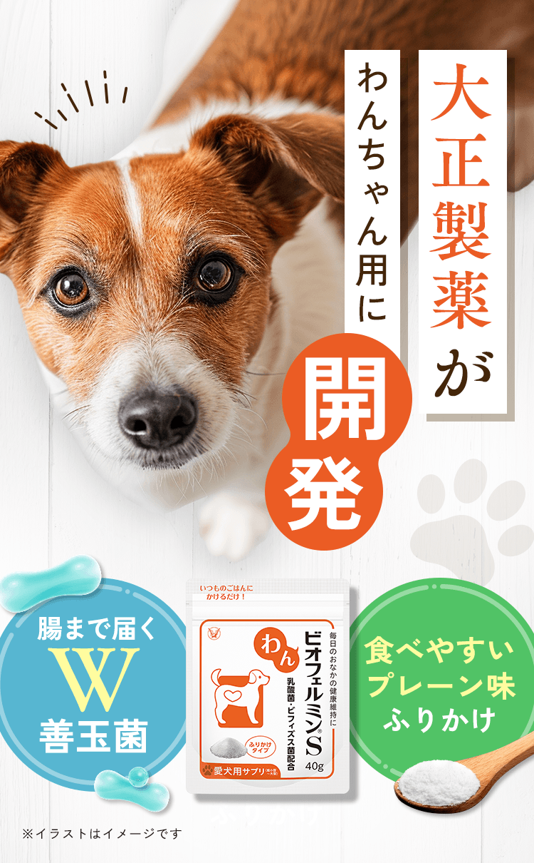 大正製薬がわんちゃん用に開発