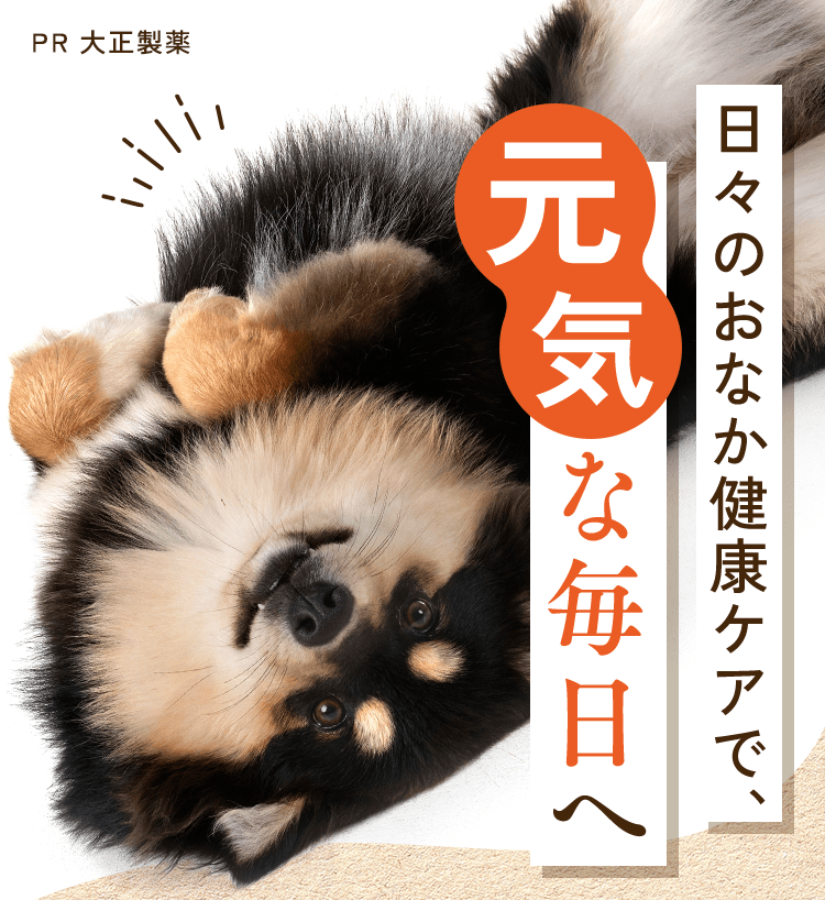 わんビオフェルミンS 日々のおなか健康ケアで、元気な毎日へ