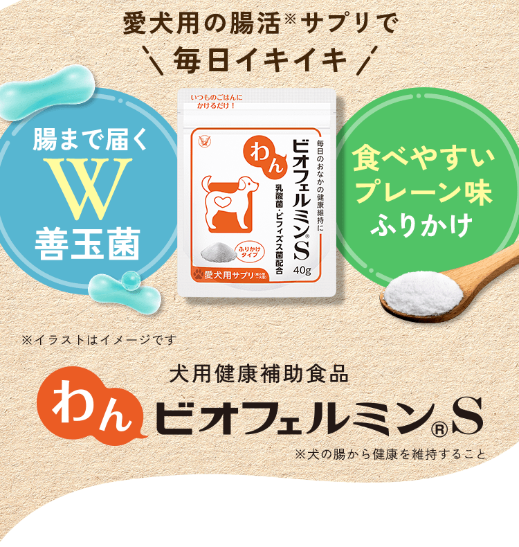愛犬用の腸活※サプリで毎日イキイキ 犬用健康補助食品 わんビオフェルミンS