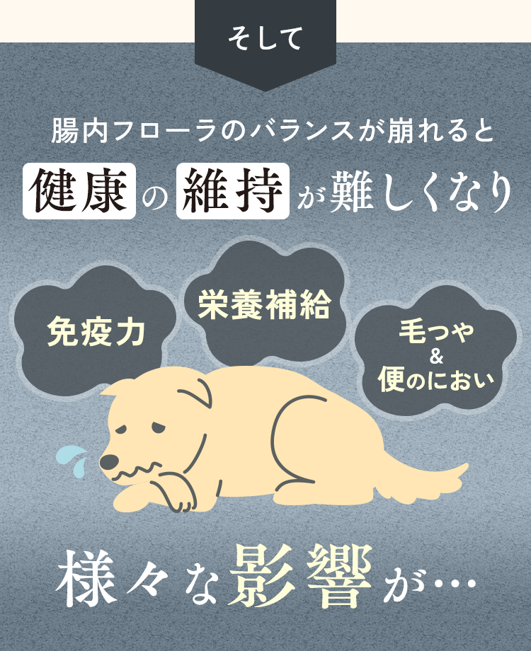 そして腸内フローラのバランスが崩れると、健康の維持が難しくなり、様々な影響が……