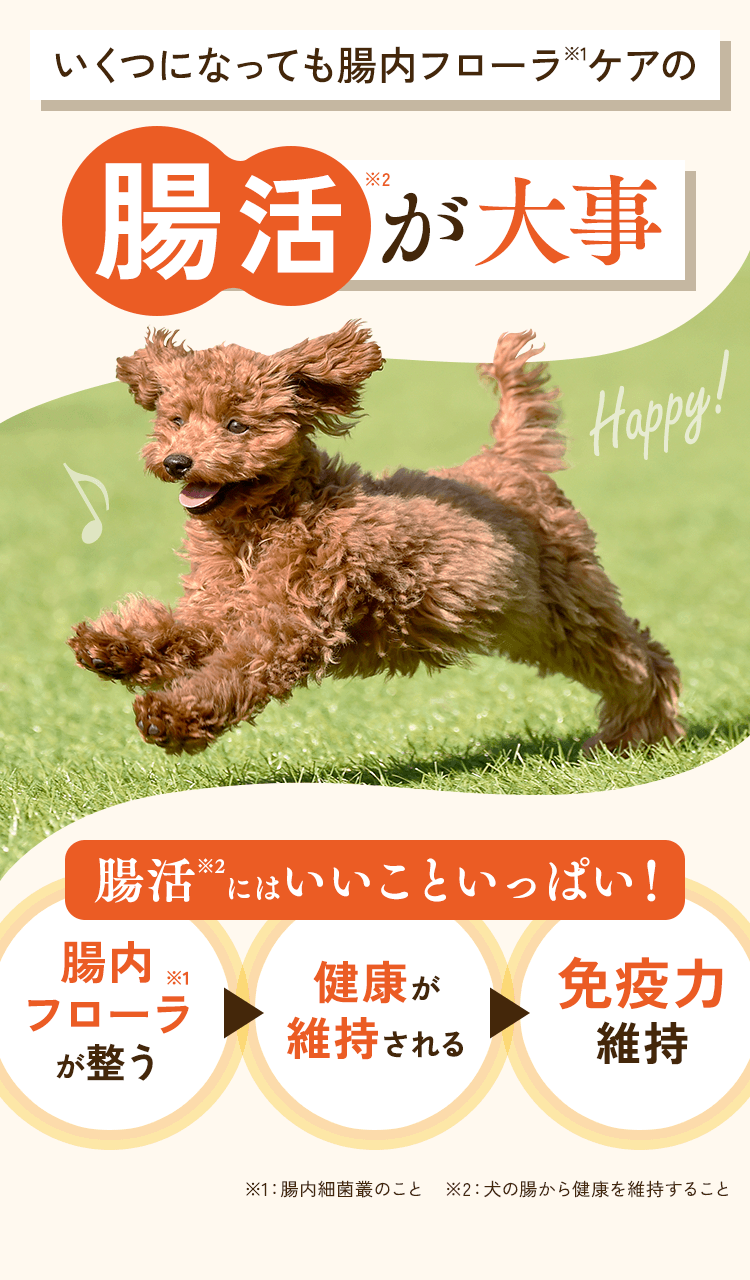 いくつになっても腸内フローラケアの腸活が大事　腸活にはいいこといっぱい！腸内フローラが整うと、健康が維持され、免疫力維持に繋がります。