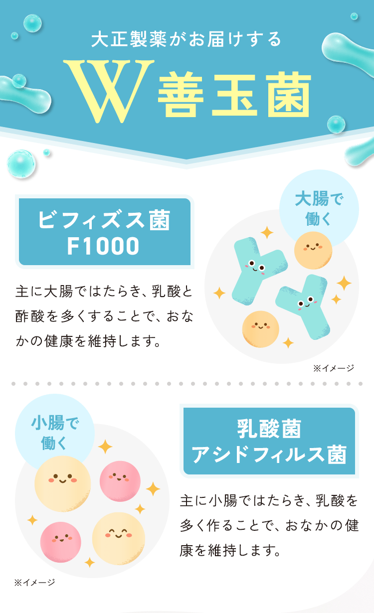 大正製薬がお届けするW善玉菌　大腸で働くビフィズス菌F1000　小腸で働く乳酸菌 アシドフィルス菌