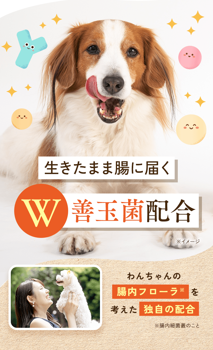 生きたまま腸に届くW善玉菌配合　わんちゃんの腸内フローラを考えた独自の配合
