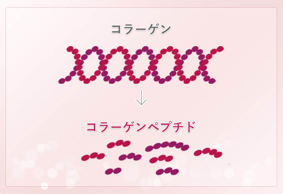 コラーゲンは低分子ペプチドタイプを採用