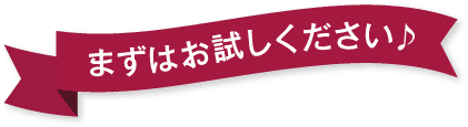 まずはお試しください