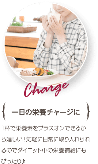 1日の栄養チャージに