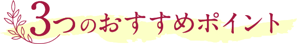 3つのおすすめポイント