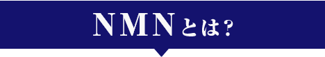 NMNとは？
