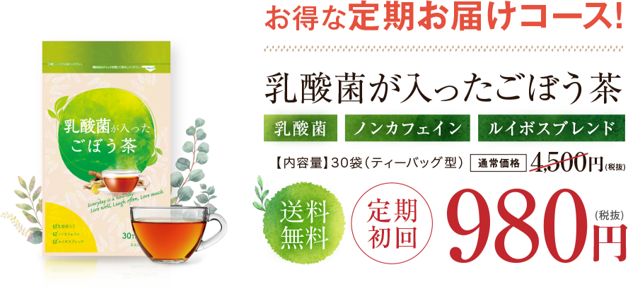 お得な定期お届けコース!送料無料 定期初回980円(税込)