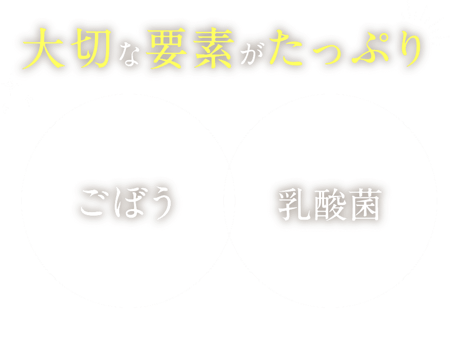 大切な要素がたっぷり ごぼう&乳酸菌