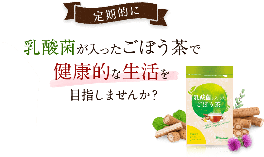 乳酸菌が入ったごぼう茶で健康的な生活を目指しませんか?