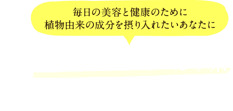 毎日の美容と健康のために植物由来の成分を摂り入れたいあなたにおいしい乳酸菌が入ったごぼう茶はじめましょう