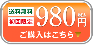 送料無料 初回限定 980円（税込） ご購入はこちら