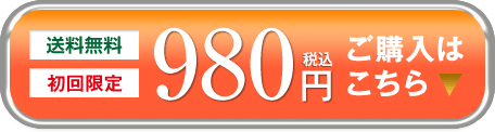 送料無料 初回限定 980円（税込） ご購入はこちら