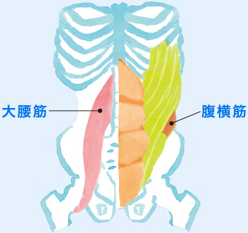 人体イメージ