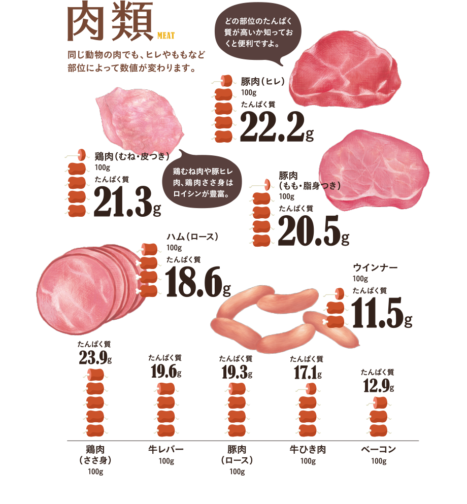 肉類　同じ動物の肉でも、ヒレやももなど部位によって数値が変わります。どの部位のたんぱく質が高いか知っておくと便利ですよ。　豚肉（ヒレ）100g…たんぱく質22.2g、鶏肉（むね・皮付き）100g…たんぱく質21.3g、豚肉（もも・脂身付き）100g…たんぱく質20.5g、ハム100g…たんぱく質16.5g、ウインナー100g…たんぱく質13.2g、鶏肉（ささ身）100g…たんぱく質23.0g、牛レバー100g…たんぱく質19.6g、豚肉（ロース）100g…たんぱく質19.3g、牛ひき肉100g…たんぱく質17.1g、ベーコン100g…たんぱく質12.9g
