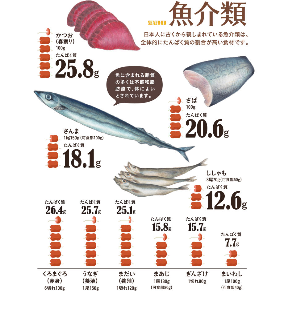 魚介類　日本人に古くから親しまれている魚介類は、全体的にたんぱく質の割合が高い食材です。魚介類は牛肉や豚肉に比べて脂質が低いのも特徴。　かつお100g…たんぱく質25.8g、さば100g…たんぱく質20.6g、さんま1尾150g（可食部100g）…たんぱく質17.6g、ししゃも3尾70g（可食部60g）…たんぱく質12.6g、うなぎ（養殖）1尾150g…たんぱく質25.7g、まだい（天然）1切れ120g…たんぱく質24.7g、まあじ1尾180g（可食部80g）…たんぱく質15.8g、ぎんざけ1切れ80g…たんぱく質15.7g、くろまぐろ（赤身）1食分50g…たんぱく質13.2g、まいわし1尾100g（可食部40g）…たんぱく質7.7g