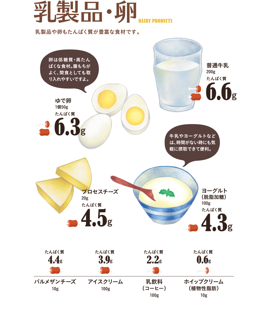 乳製品・卵　乳製品や卵もたんぱく質が豊富な食材です。卵は低糖質・高たんぱくな食材。腹持ちがよく、間食としても取り入れやすいですよ。牛乳やヨーグルトなどは、時間がない時にも気軽に摂取できて便利。ゆでたまご1個50g…たんぱく質6.5g、普通牛乳200g…たんぱく質6.6g、プロセスチーズ20g…たんぱく質4.5g、ヨーグルト（脱脂加糖）100g…たんぱく質4.3g、パルメザンチーズ10g…たんぱく質4.4g、アイスクリーム100g…たんぱく質3.9g、乳飲料（コーヒー）…たんぱく質2.2g、ホイップクリーム（植物性脂肪）…たんぱく質0.6g