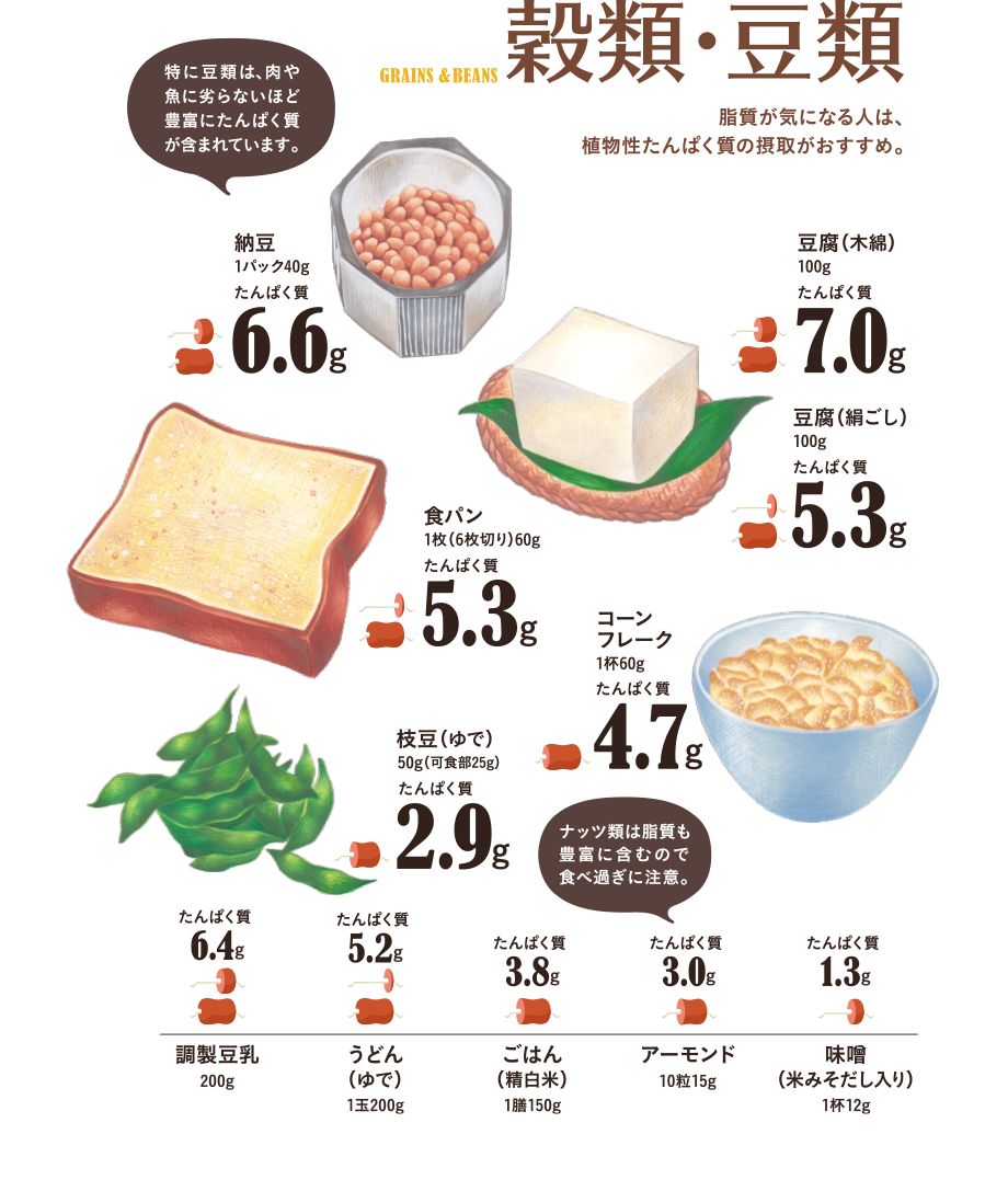 穀類・豆類　脂質が気になる人は、植物性たんぱく質の摂取がおすすめ。特に豆類は、肉屋魚に劣らないほど豊富にたんぱく質が含まれています。ナッツ類は脂質も豊富に含むので食べ過ぎに注意。　納豆1パック40g…たんぱく質6.6g、豆腐（木綿）100g…たんぱく質6.6g、豆腐（絹ごし）100g…たんぱく質4.9g、食パン1枚（6枚切り）60g…たんぱく質5.6g、コーンフレーク1杯60g…たんぱく質4.7g、枝豆（ゆで）50g（可食部25g）…たんぱく質2.9g、調整豆乳200g…たんぱく質6.4g、うどん（ゆで）1玉200g…たんぱく質5.2g、ごはん（精白米）1膳150g…たんぱく質3.8g、アーモンド10粒10g…たんぱく質2.0g、味噌（米みそだし入り）1杯12g…たんぱく質1.6g