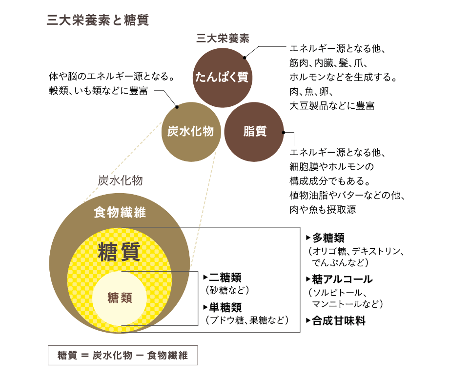 三大栄養素と糖質