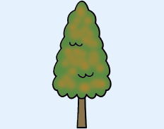 杉の木　イラスト