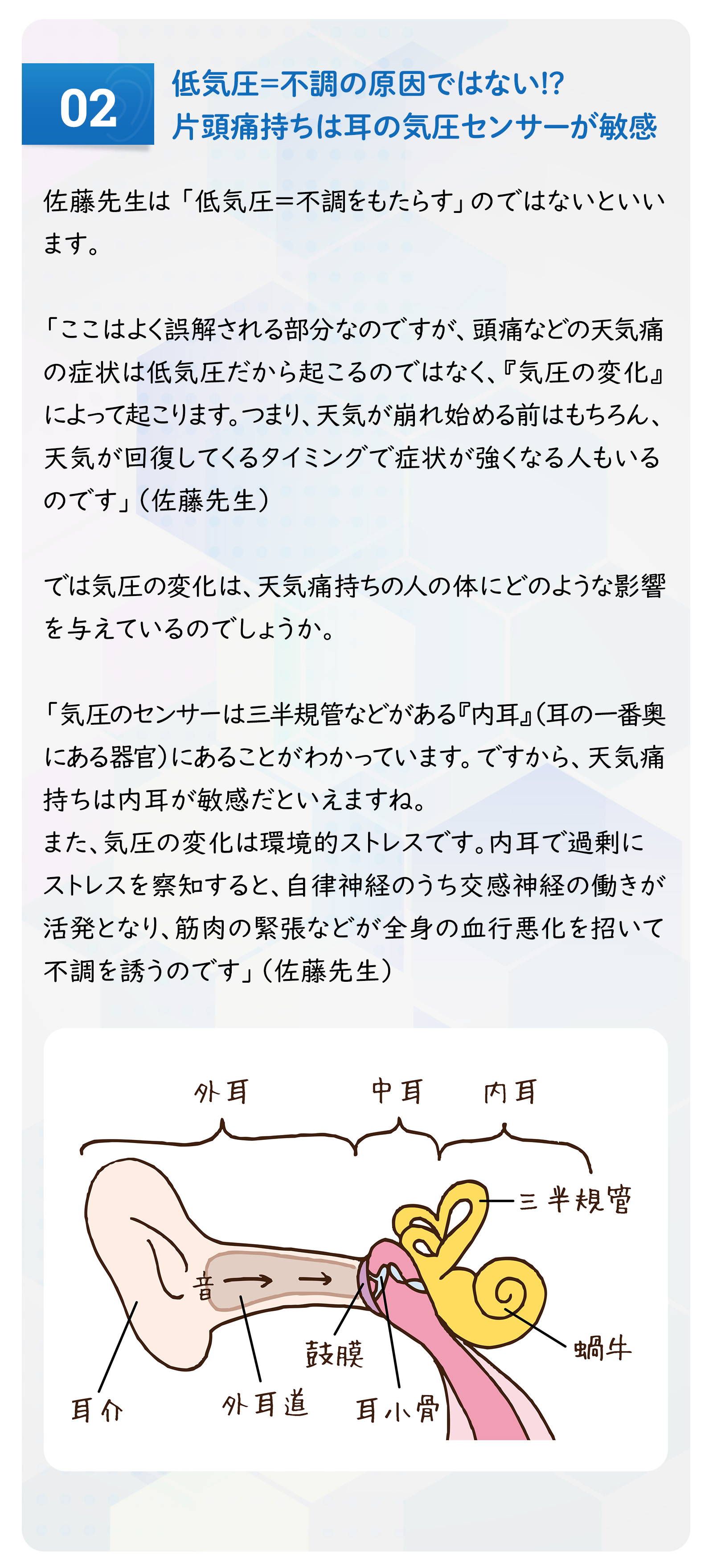 健康特集記事2