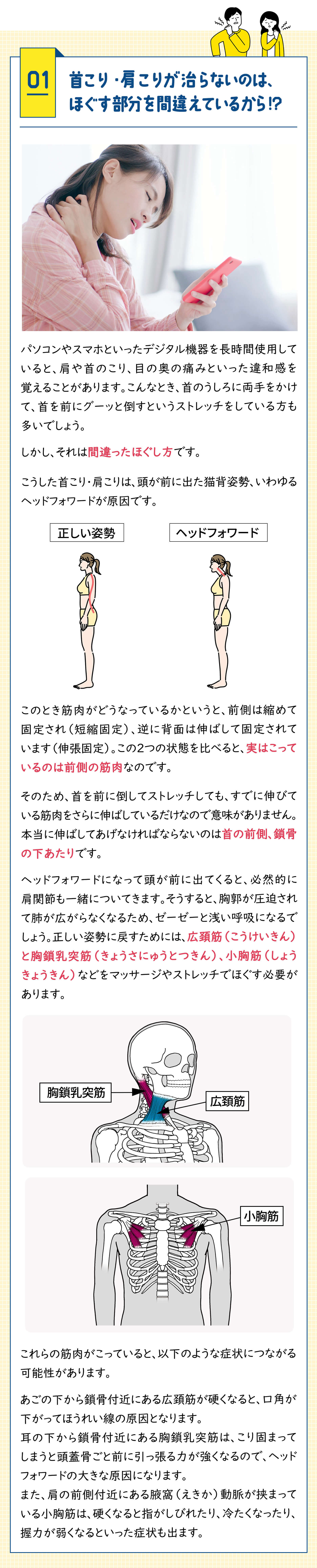 健康特集記事1