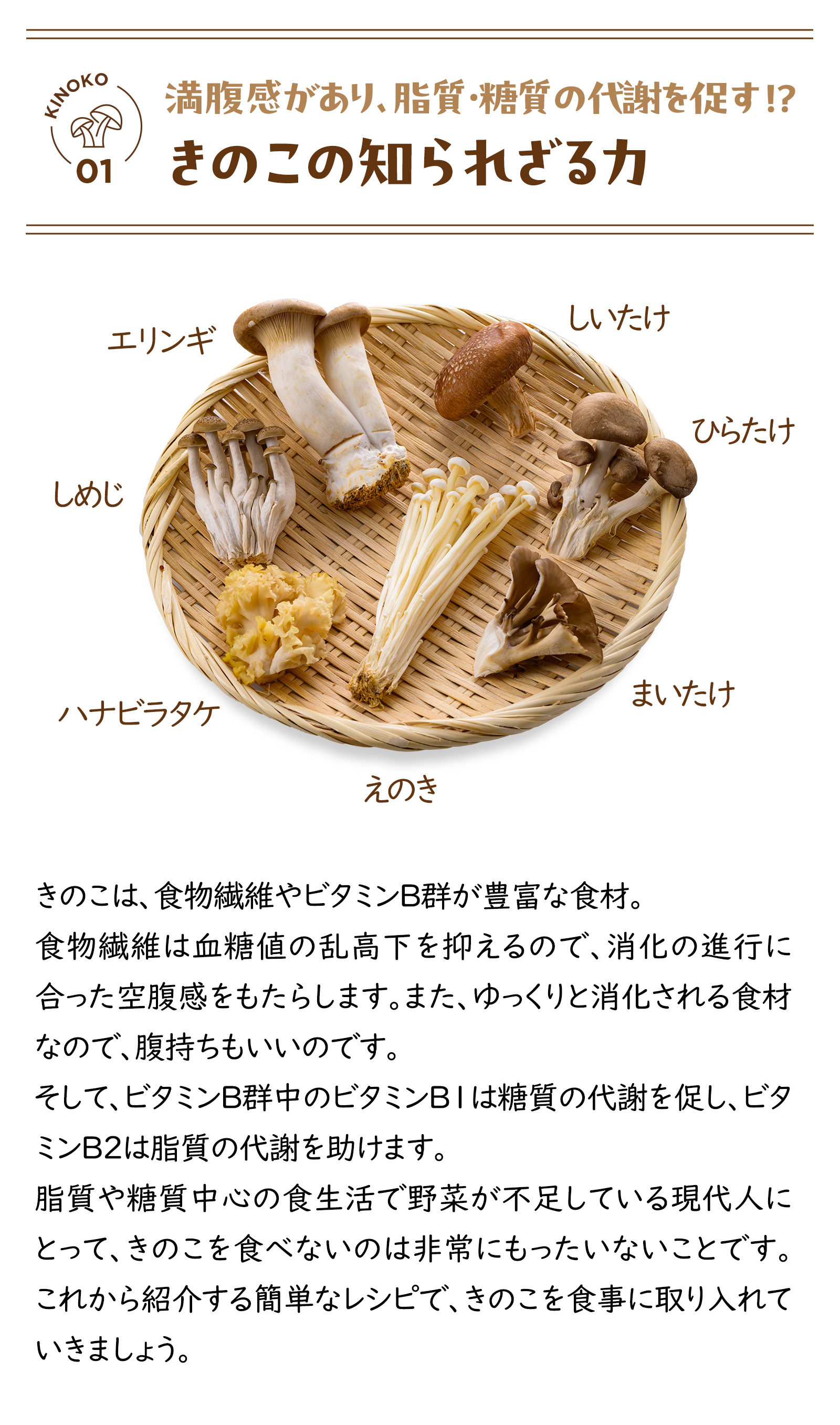 健康特集記事1