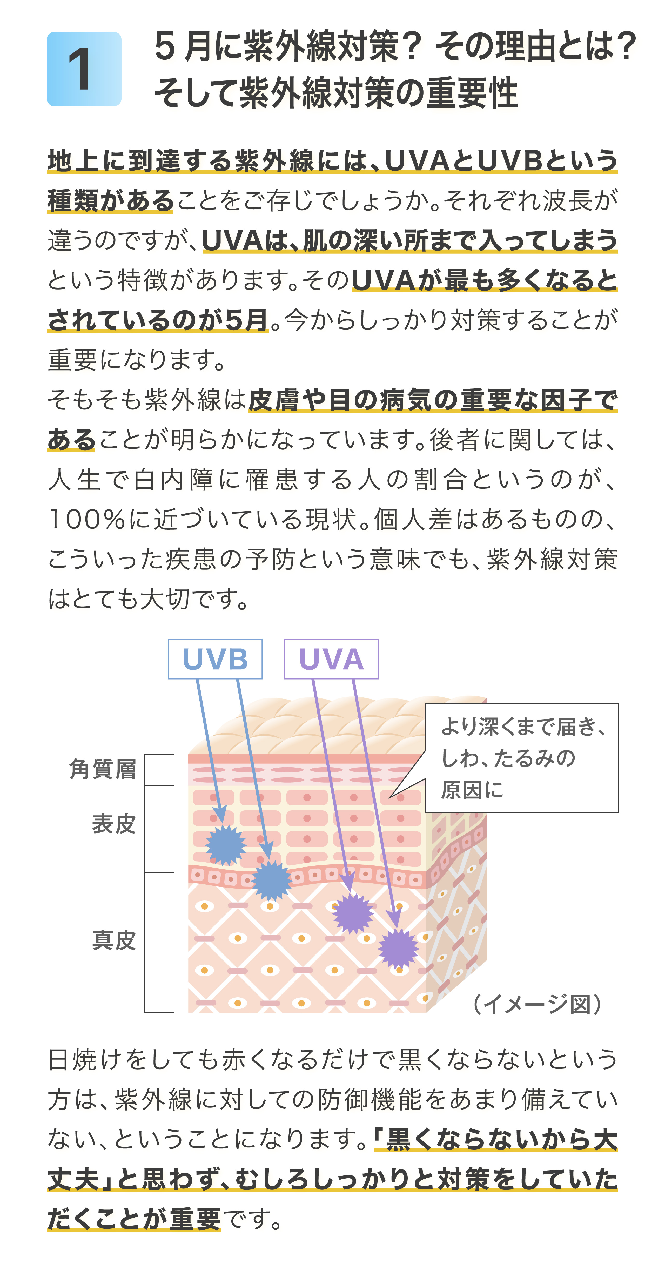 健康特集記事1