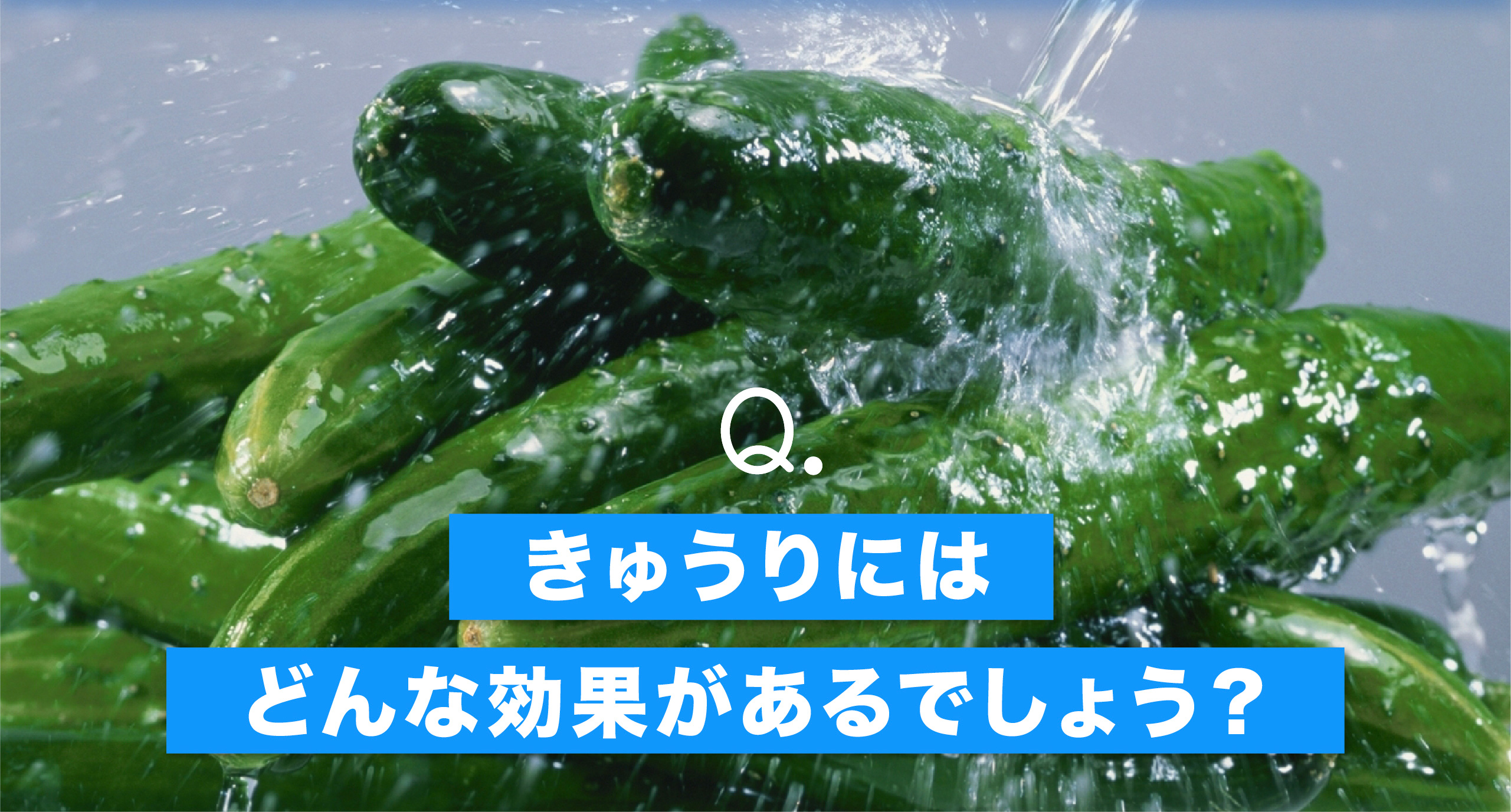 健康特集メイン画像