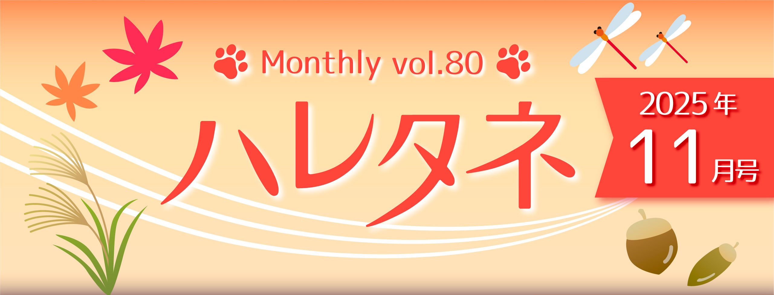 ハレタネメイン画像