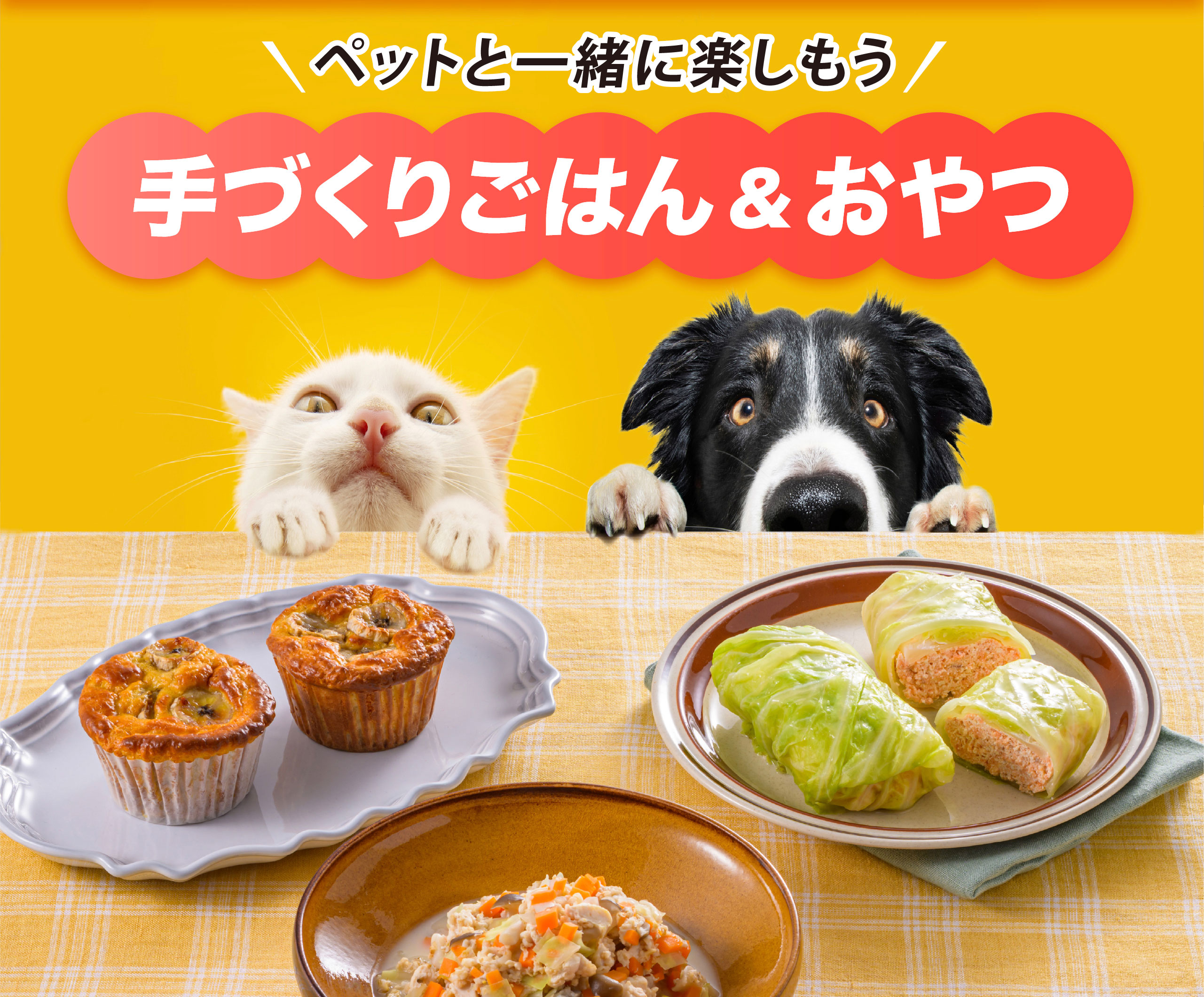 健康特集メイン画像