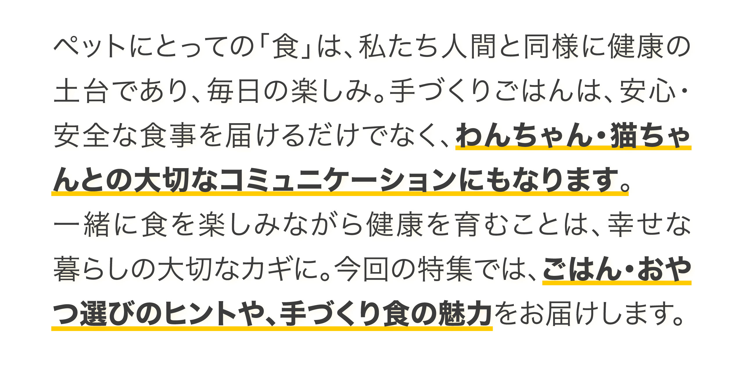 健康特集テキスト
