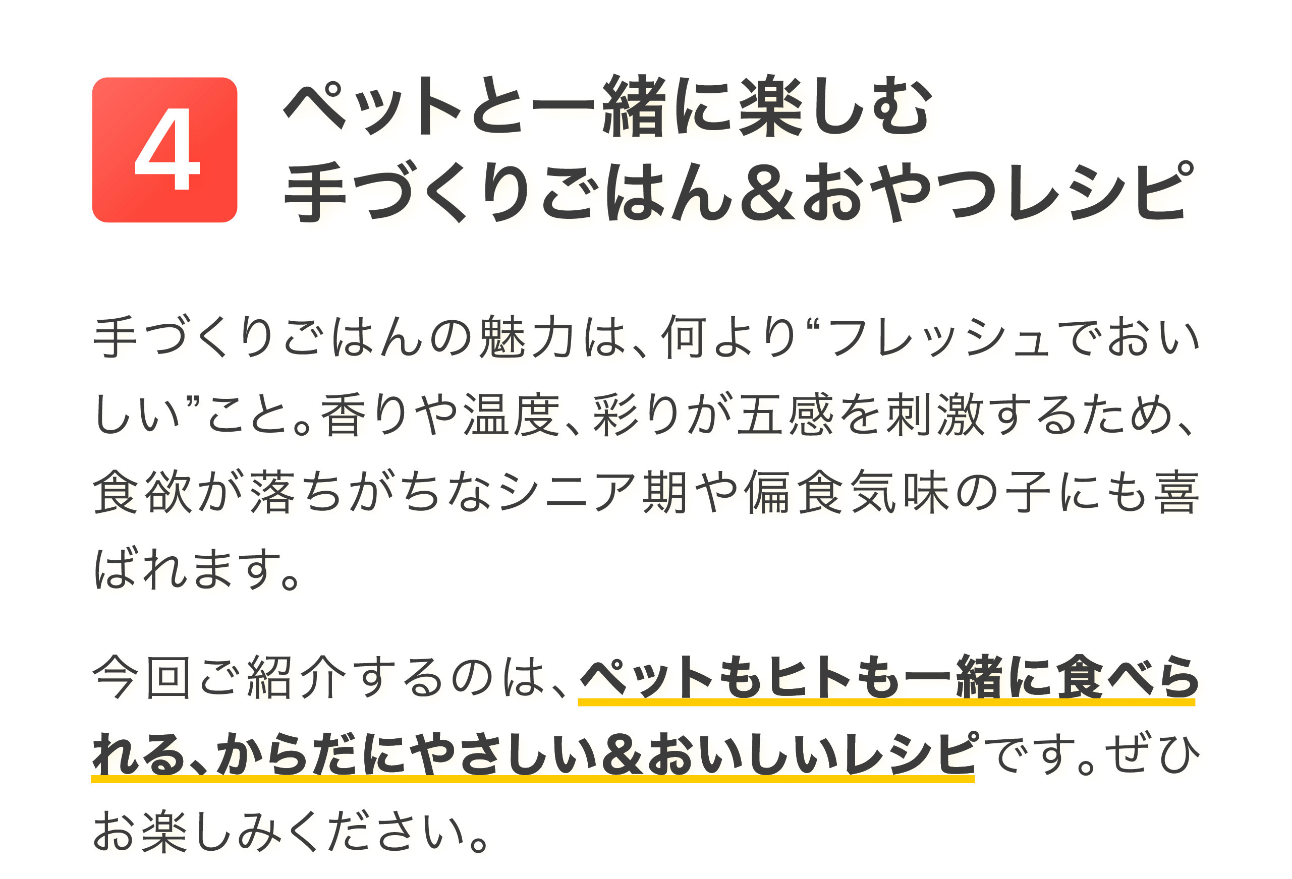 健康特集記事4