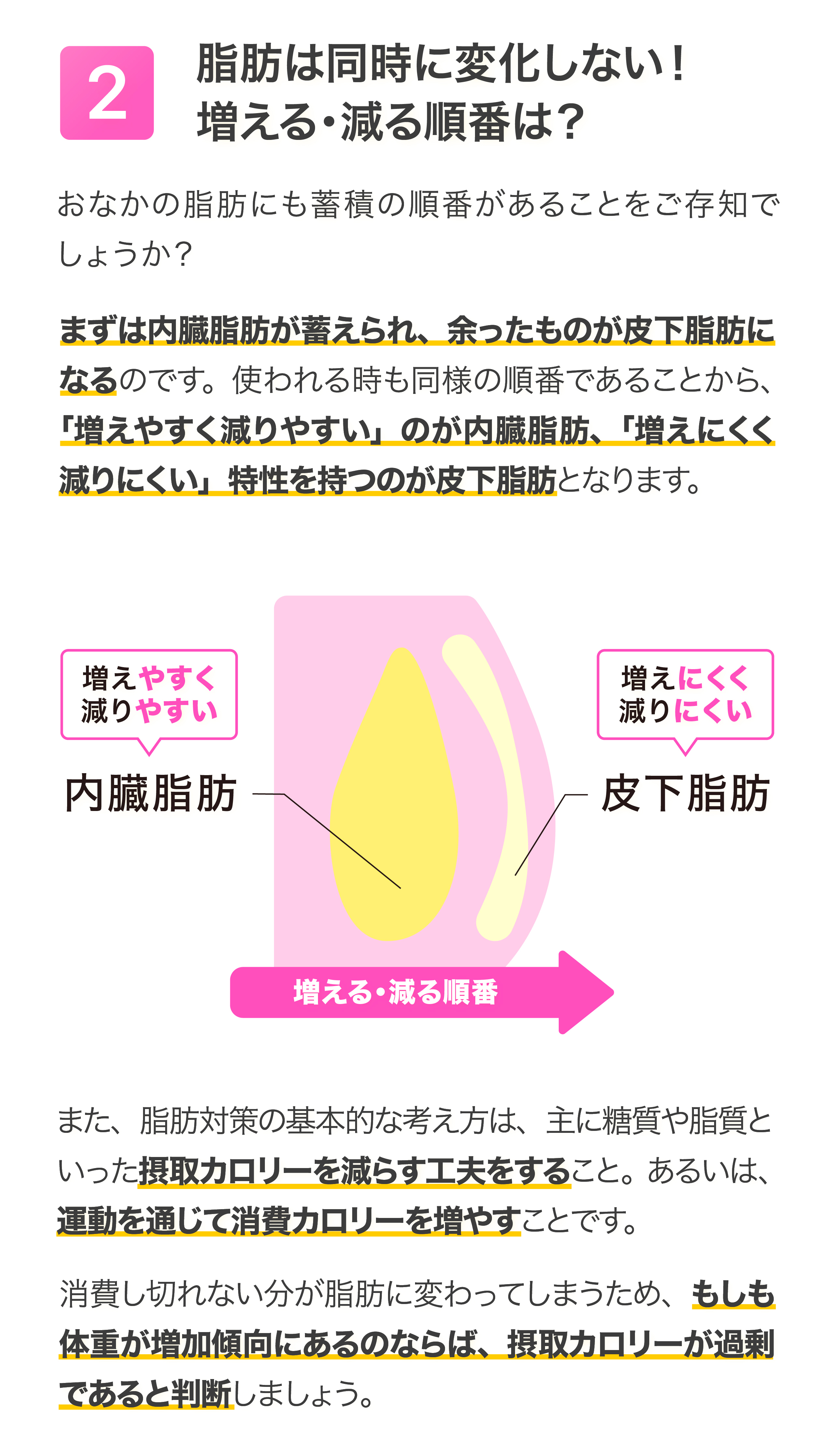 健康特集記事2