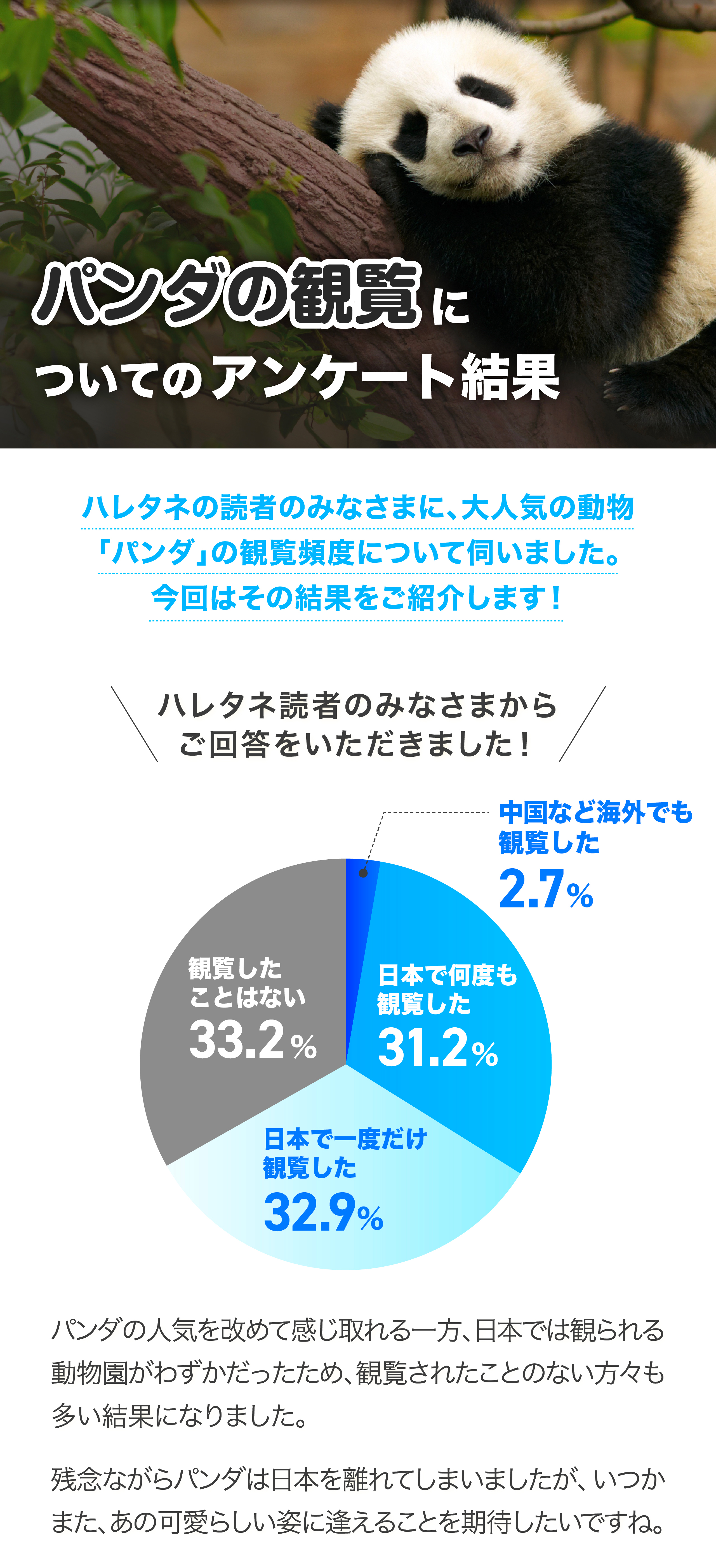 アンケート