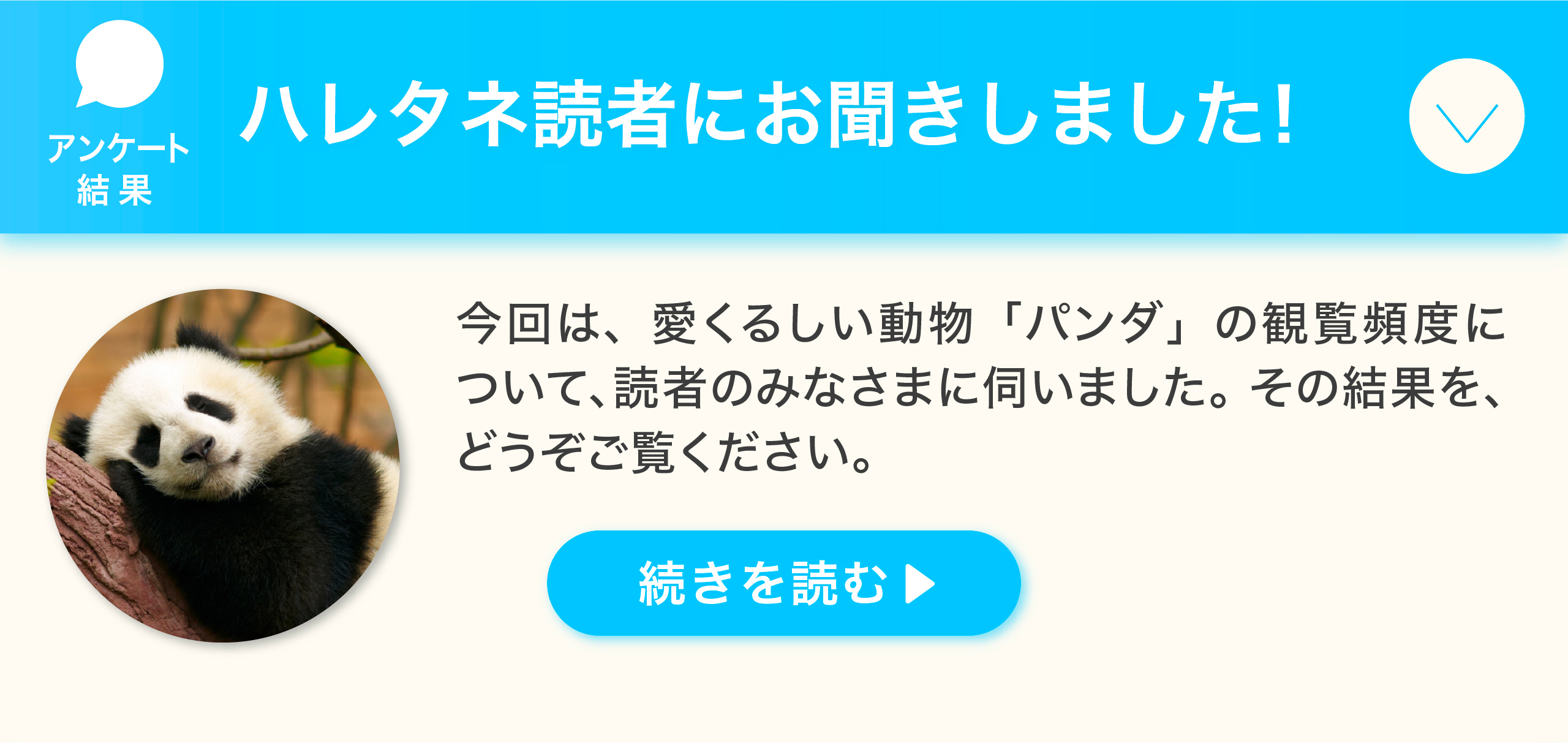 アンケート