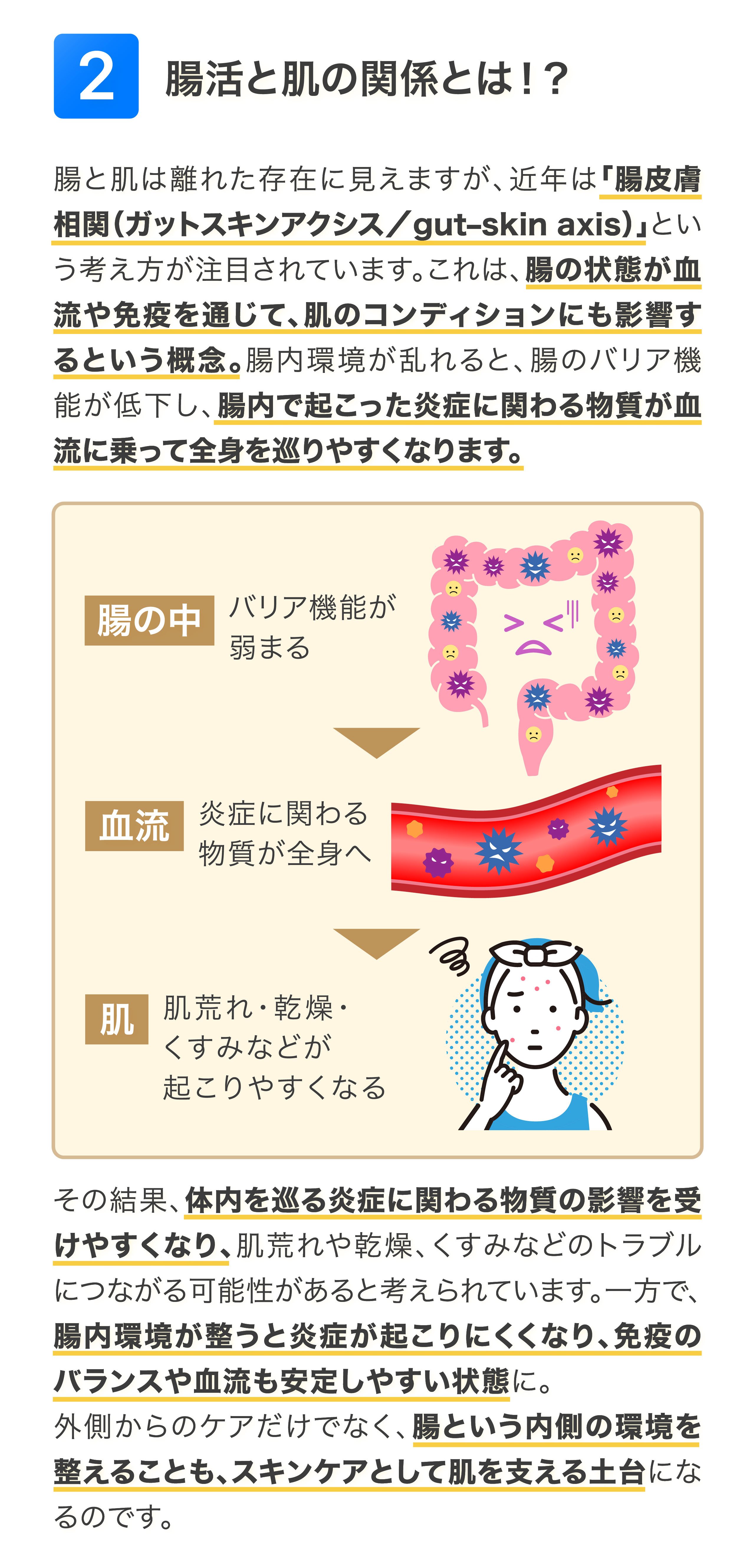 健康特集記事2